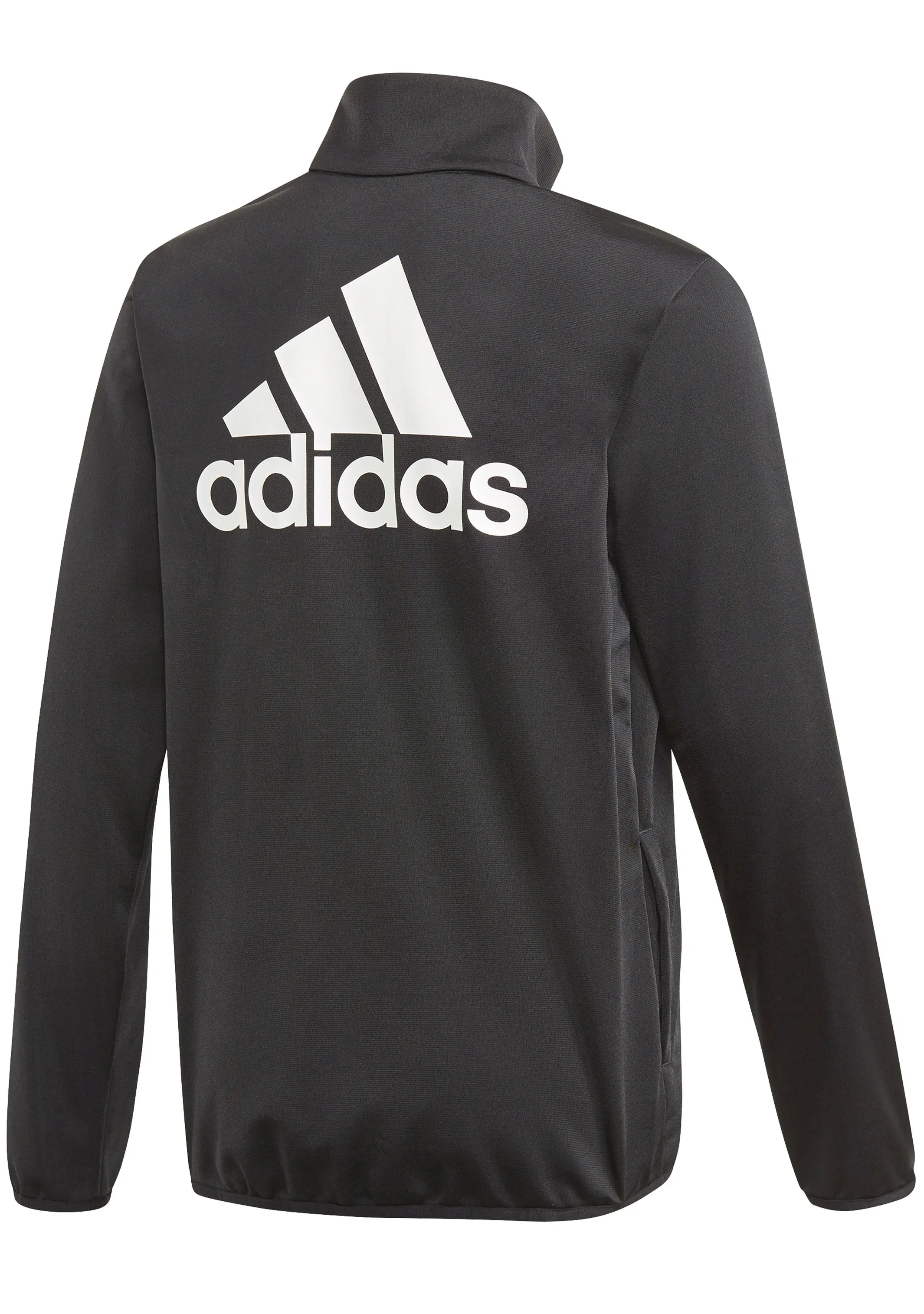 Adidas Kids essentials Big Logo Tracksuit <br> GN3974