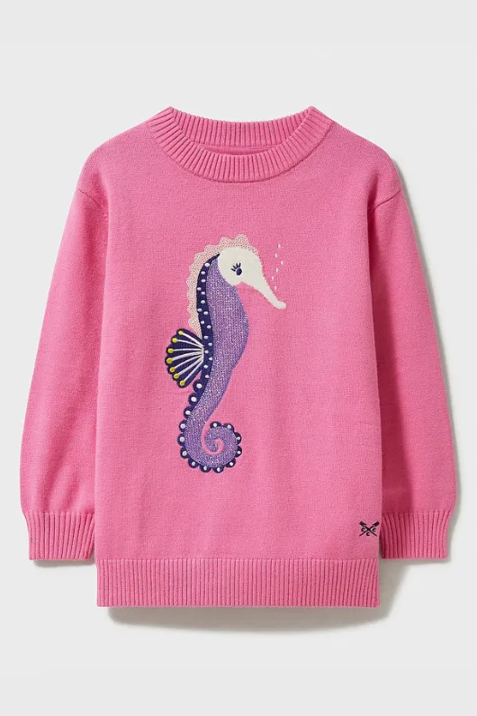 Seahorse Jumper